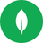 MongoDB logo